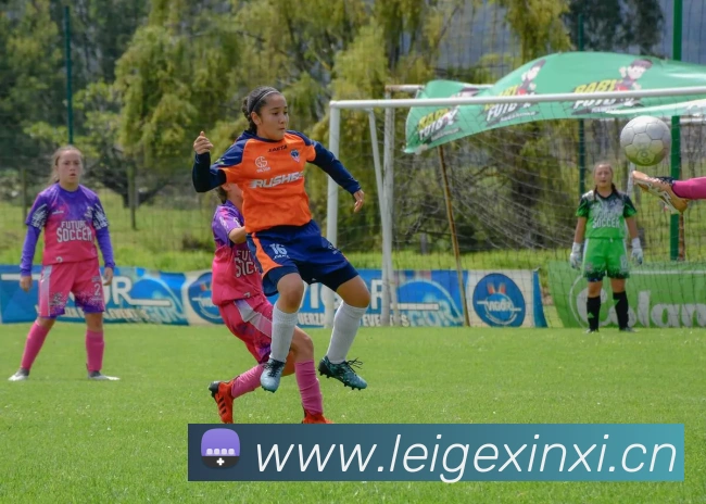 九游官网入口服务体系